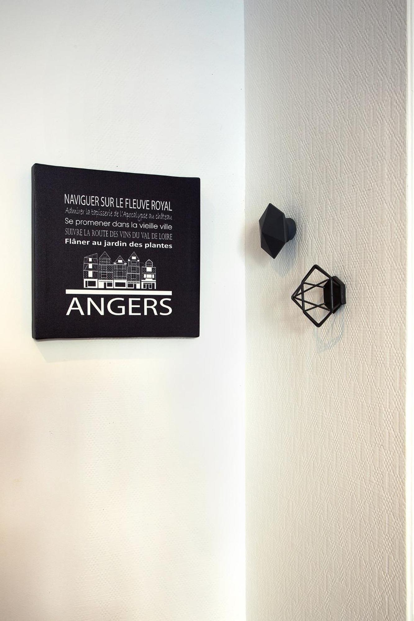 Crypto Prestige - Gare et Centre - Studio et T3 Angers Rom bilde